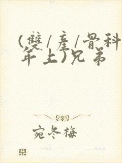 (双/产/骨科年上)兄弟封面