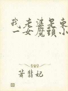 我老婆是东晋第一女魔头小说免费封面