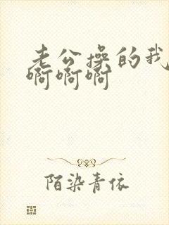 老公操的我好爽啊啊啊