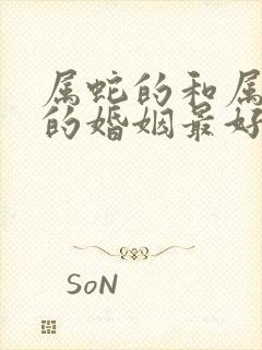 属蛇的和属什么的婚姻最好