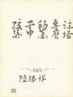 孩子的专注力不集中怎么培养