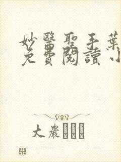 妙医圣手叶皓轩免费阅读 小说