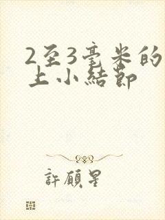 2至3毫米的肺上小结节