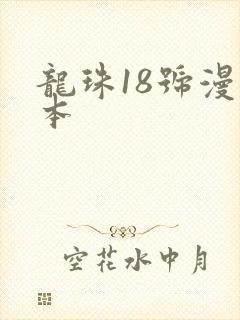 龙珠18号漫画本