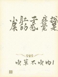 小肚子疼总有拉屎的感觉是怎么回事封面