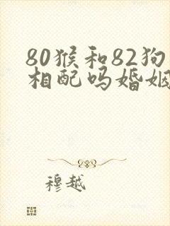 80猴和82狗相配吗婚姻