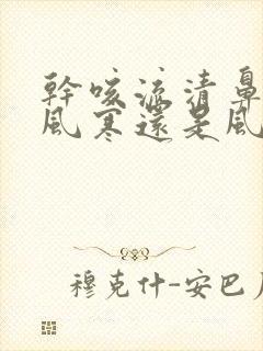 干咳流清鼻涕是风寒还是风热封面