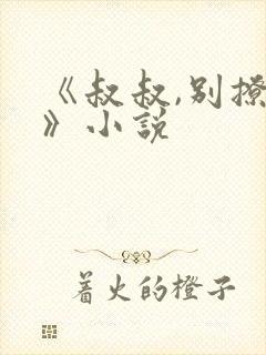 《叔叔,别撩我》小说