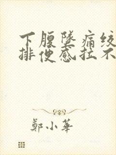 下腹坠痛绞痛有排便感拉不出