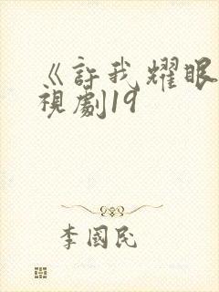 《许我耀眼》电视剧19封面