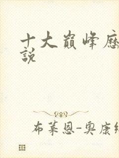 十大巅峰历史小说