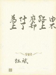 为什么路由器连上了却上不了网