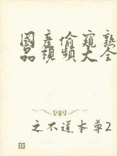 国产偷窥熟女精品视频大全簧片网站