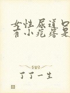 女性尿道口内侧有小疙瘩是怎么回事