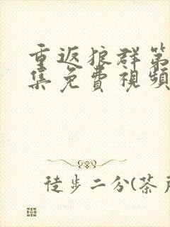 重返狼群第12集免费视频