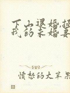 下山退婚,拯救我的未婚妻短剧完整版封面