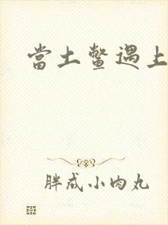 当土鳖遇上海龟