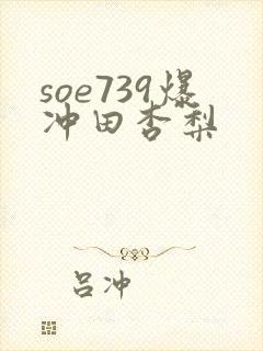 soe739爆冲田杏梨