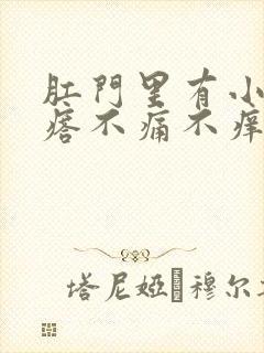 肛门里有小硬疙瘩不痛不痒