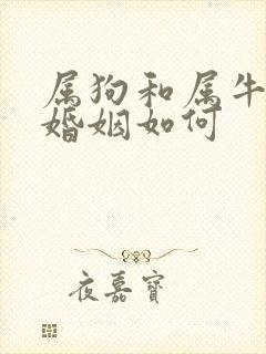 属狗和属牛相配婚姻如何