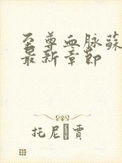 至尊血脉苏铭渊最新章节