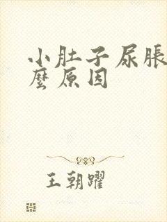 小肚子尿胀痛什么原因