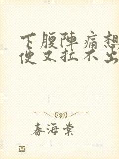 下腹阵痛想拉大便又拉不出来