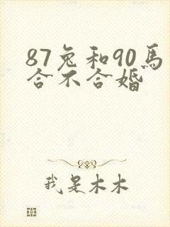 87兔和90马合不合婚