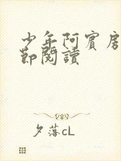 少年阿宾房东分节阅读