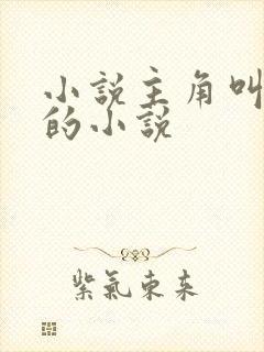 小说主角叫叶空的小说