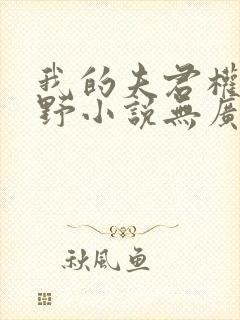 我的夫君权倾朝野小说无广告