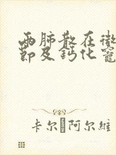 两肺散在微小结节及钙化灶