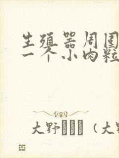 生殖器周围长了一个小肉粒