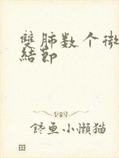 双肺数个微小小结节