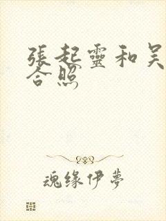 张起灵和吴邪的合照封面