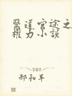 医道官途之绝对权力小说