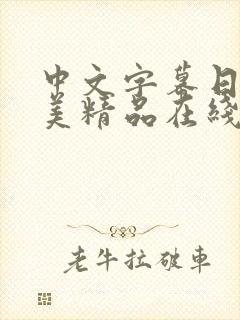 中文字幕日韩欧美精品在线观看