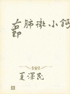 右肺微小钙化结节封面