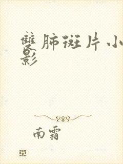 双肺斑片小结节影