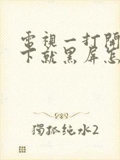 电视一打开闪一下就黑屏怎么回事