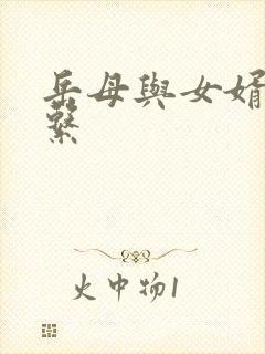 岳母与女婿的关系