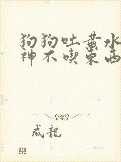 狗狗吐黄水没精神不吃东西怎么办