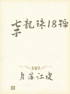 七龙珠18号本子