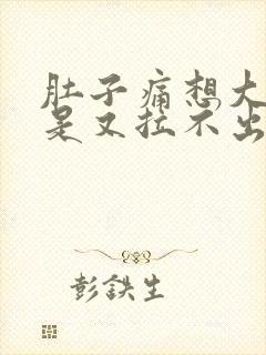 肚子痛想大便但是又拉不出来是什么原因