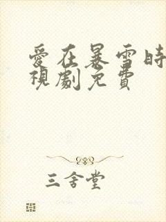 爱在暴雪时分电视剧免费