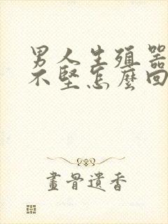 男人生殖器硬起不坚怎么回事