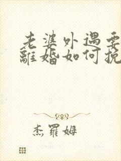 老婆外遇要和我离婚如何挽回封面