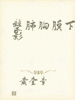 双肺胸膜下结节影封面