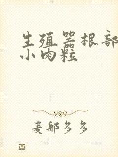 生殖器根部有个小肉粒封面