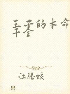 王子的本命恶役千金